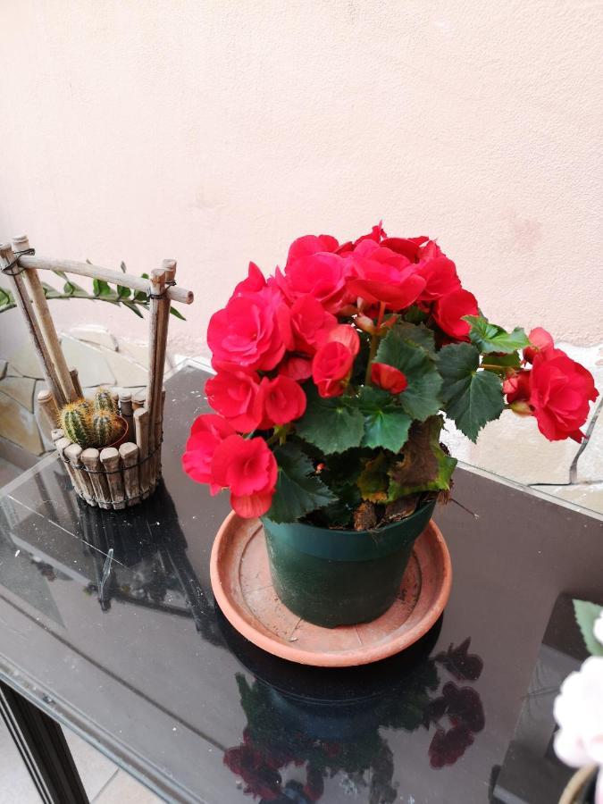 B&B Casa Valeria CTA Eksteriør billede