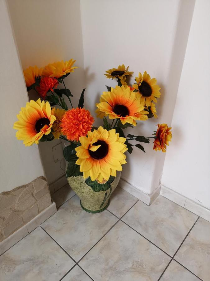 B&B Casa Valeria CTA Eksteriør billede